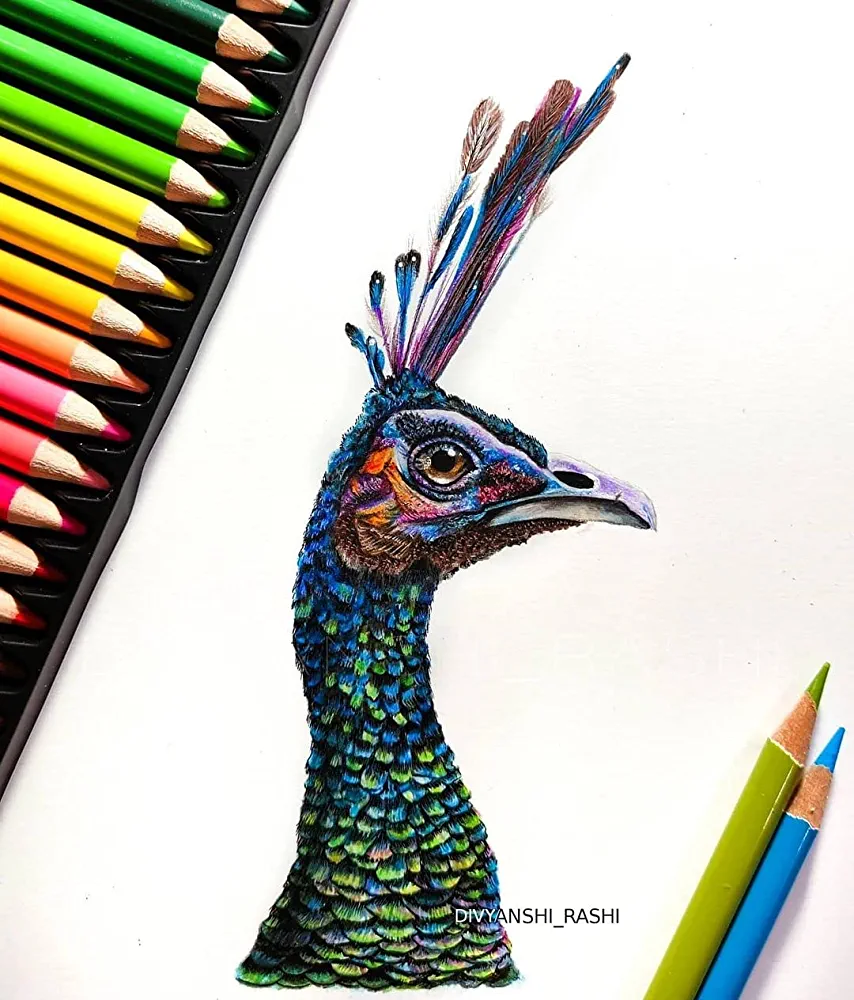 Brustro Artists’ Coloured Pencil Set - Image 9
