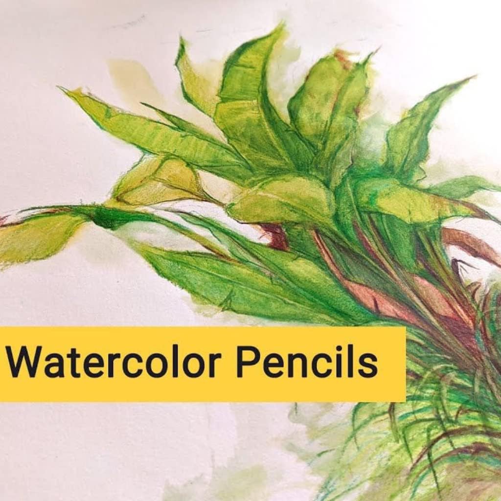 Brustro Artists Watercolour Pencil Set of 72 in Elegant tin Box - Image 9