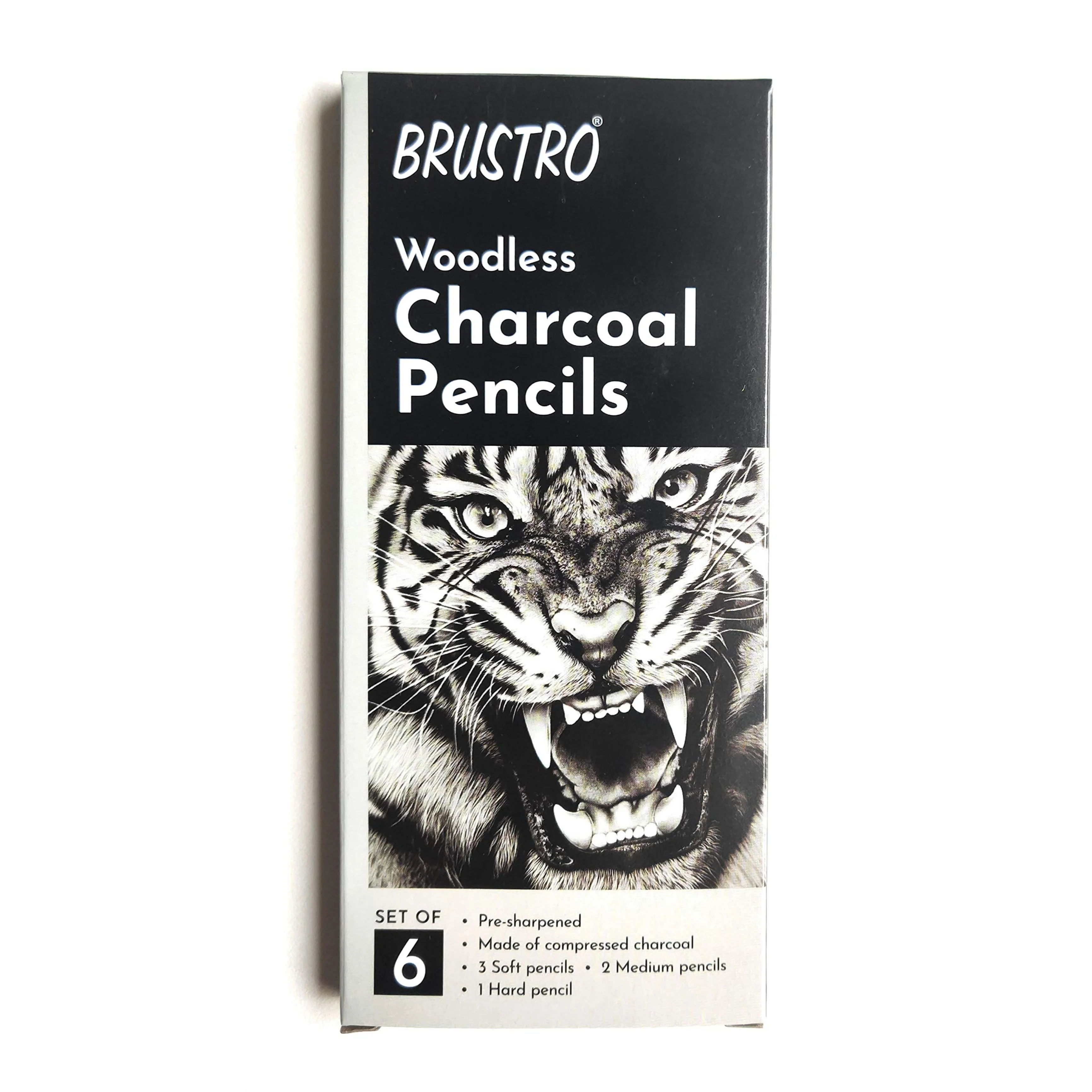 Brustro Woodless Charcoal Pencil Set of 6 (3 Soft, 2 Medium, 1 Hard) - Image 2