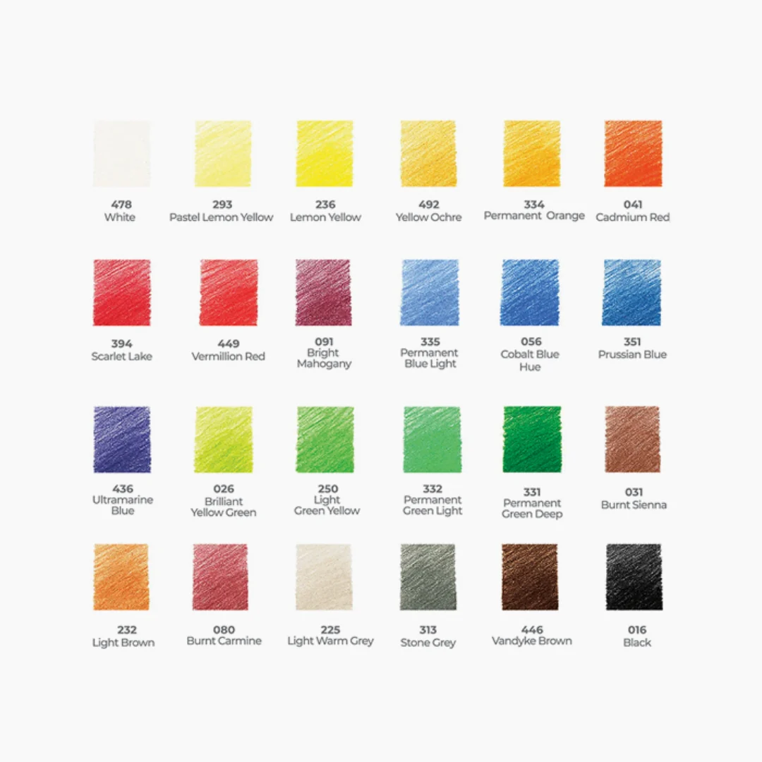 Camlin Artist Colour Pencils 24 Shades - Image 5