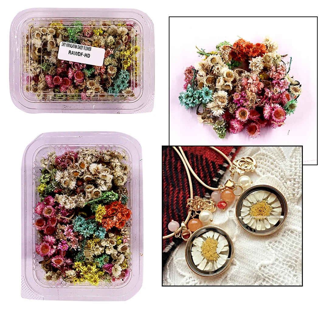 Himalayan Daisy Dried Flower Box - Image 3