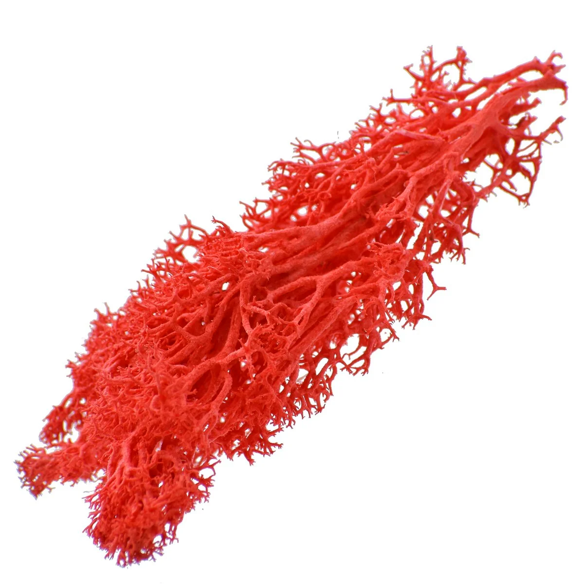 Jags Reindeer Moss 20 Grams - Image 15