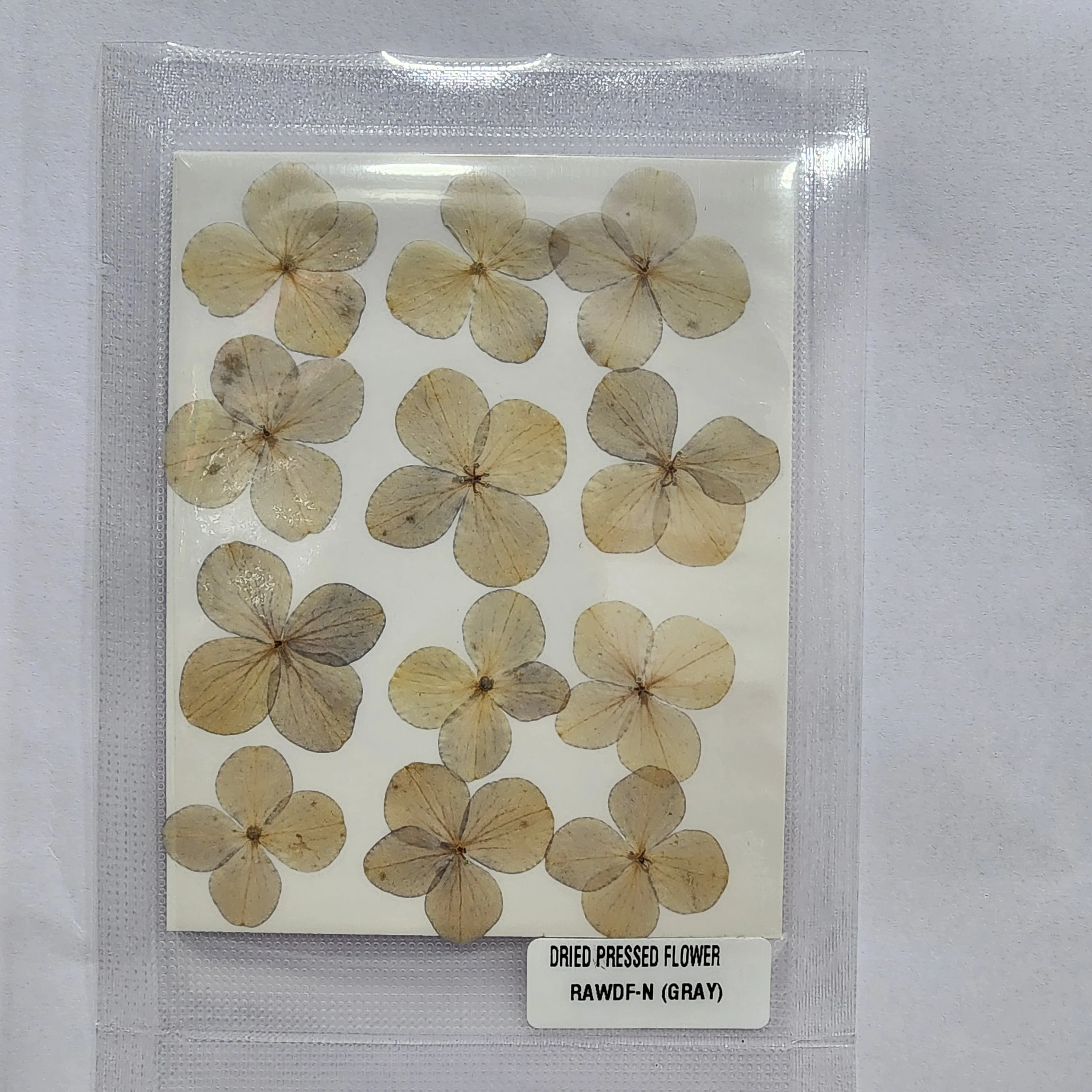 Natural Dried Pressed Flower - 4 Kali / Hydregans - Image 7