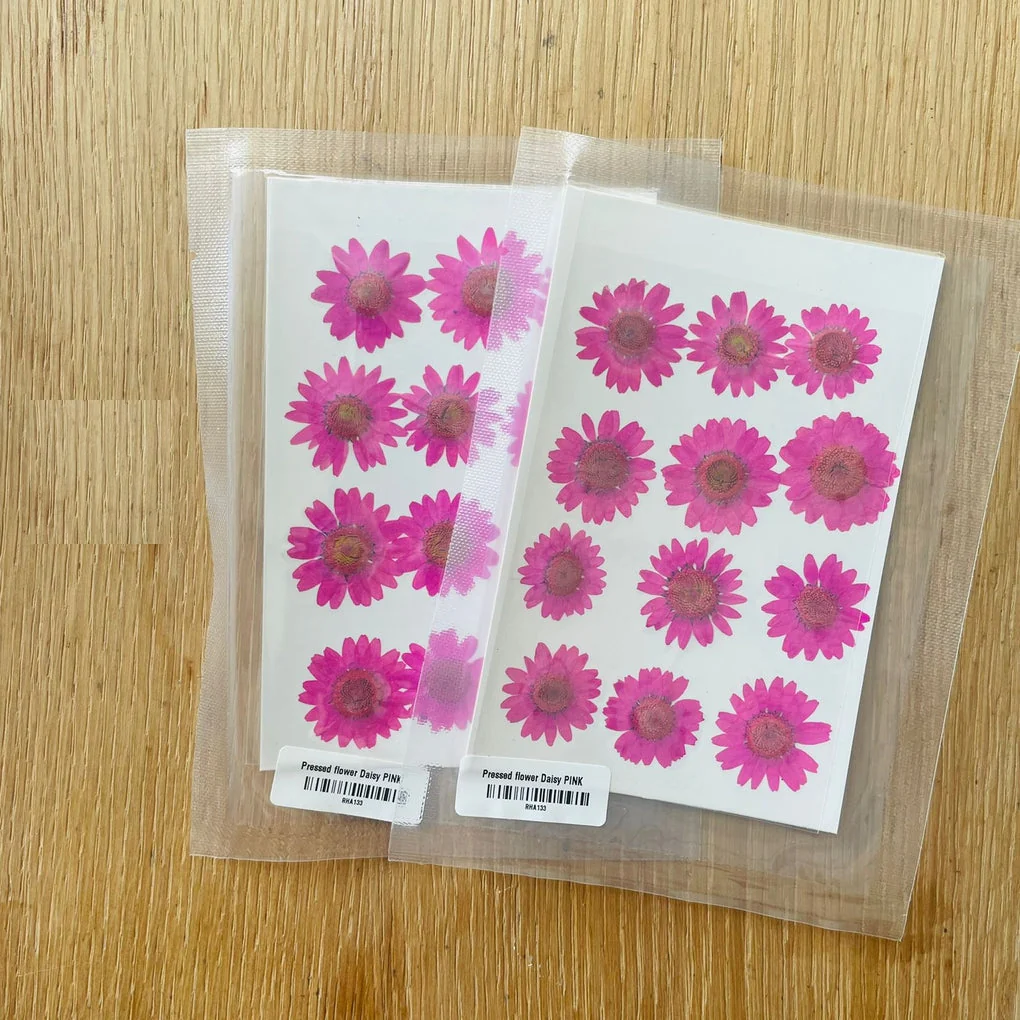 Natural Dried Pressed Daisy - Image 7