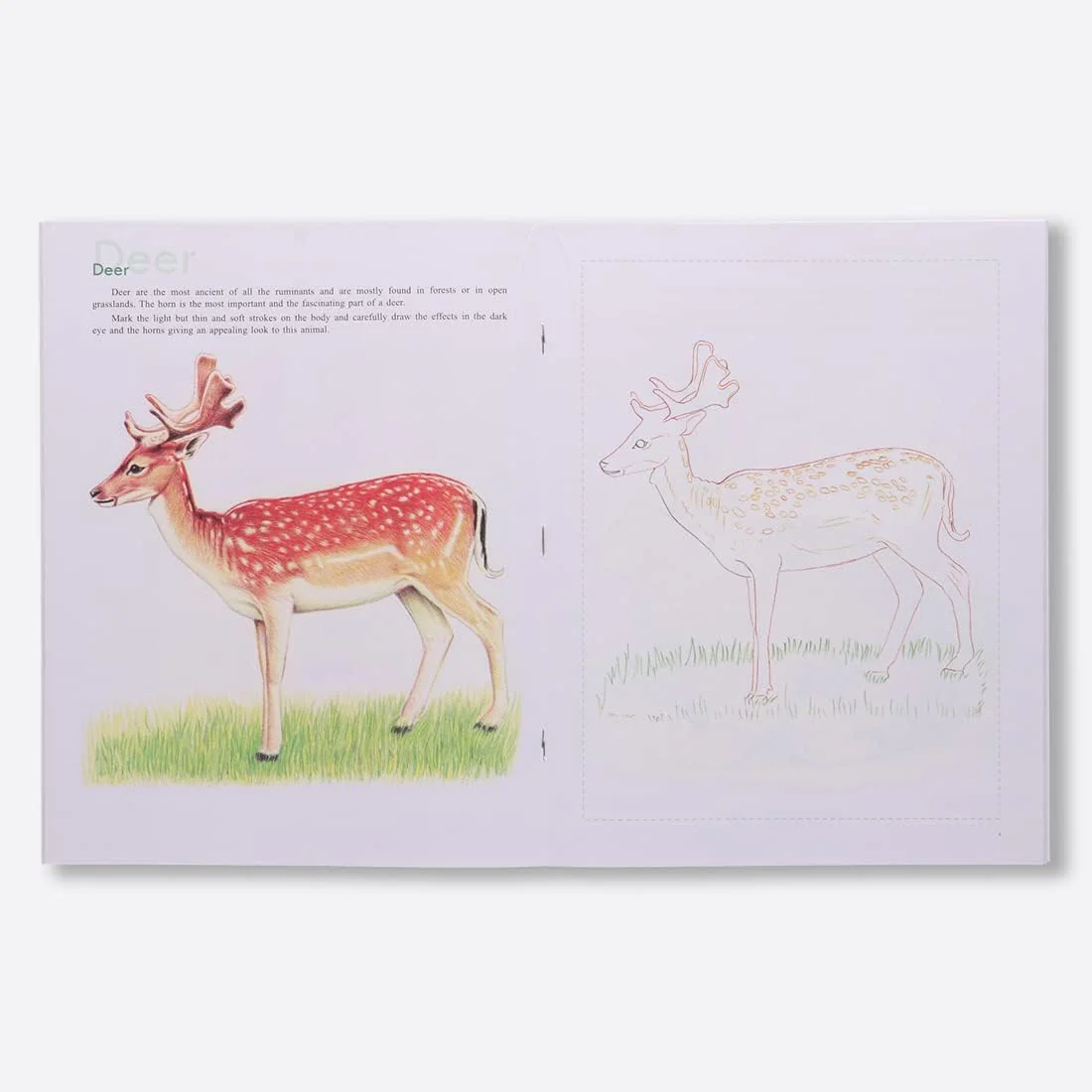 Navneet Art Of Sketching Book - Image 9
