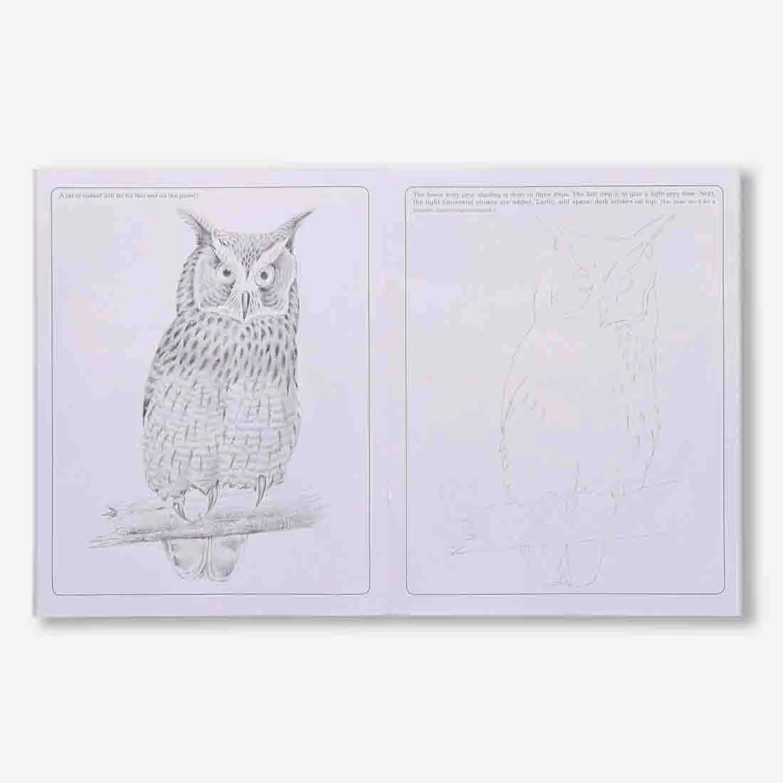 Navneet Learn Pencil Shading Animals & Birds 1 and 2 – For Elementary Art Prep – How to draw Animals and Birds - Pack of 2 Books - Image 5