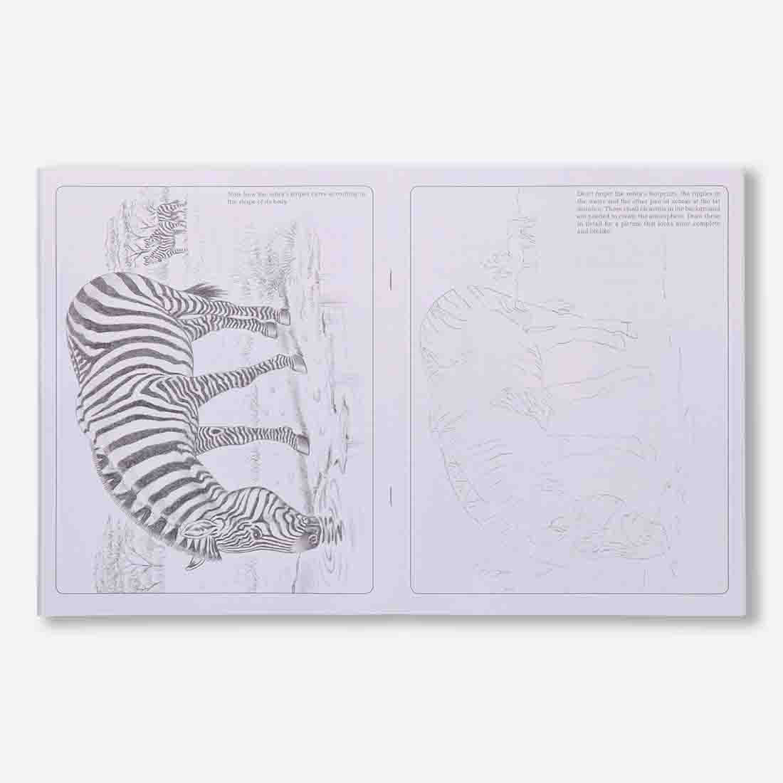 Navneet Learn Pencil Shading Animals & Birds 1 and 2 – For Elementary Art Prep – How to draw Animals and Birds - Pack of 2 Books - Image 6