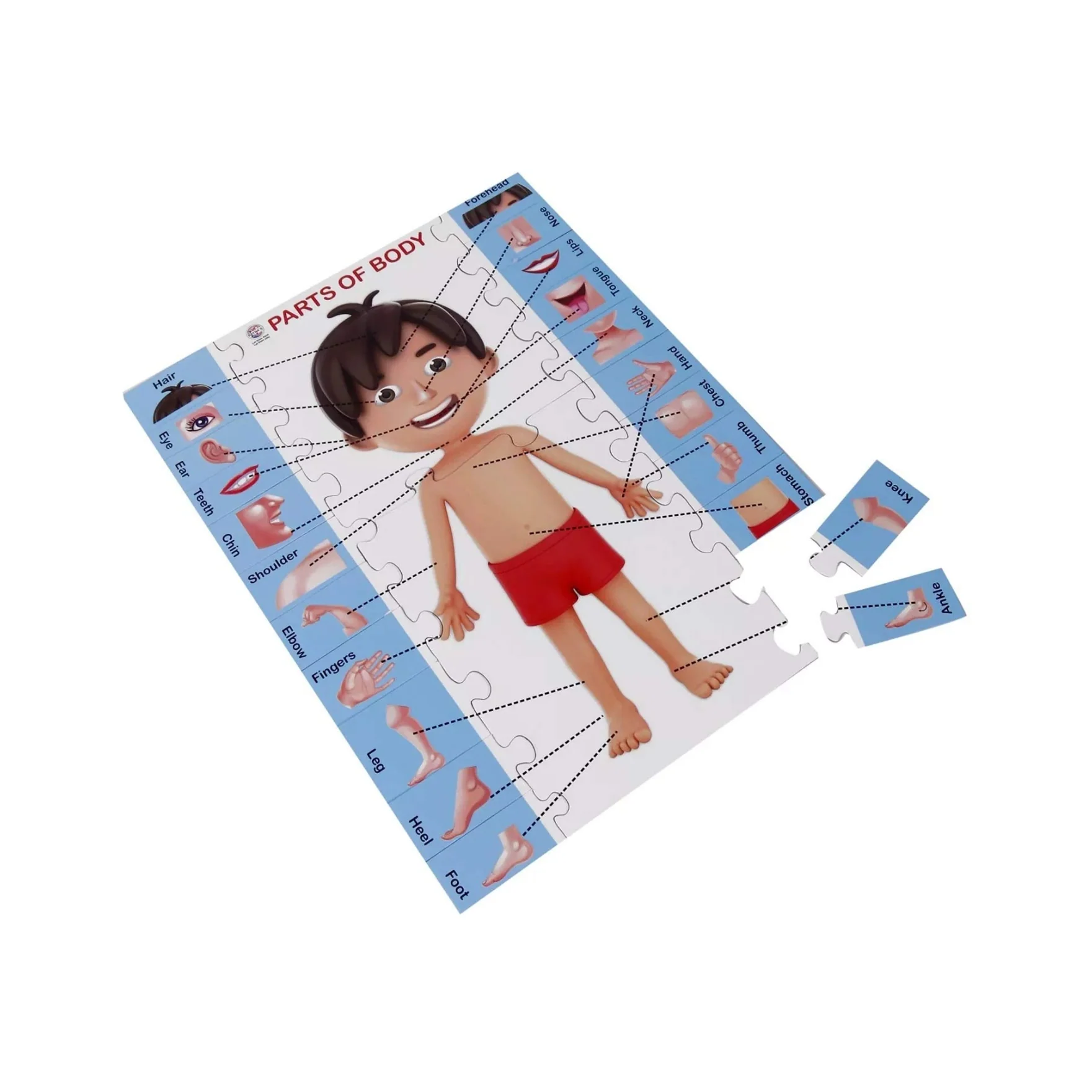 Ratna's Parts of Body Jigsaw Puzzle for Kids with 2 in 1 Write and Wipe Board with Body Parts - Image 4