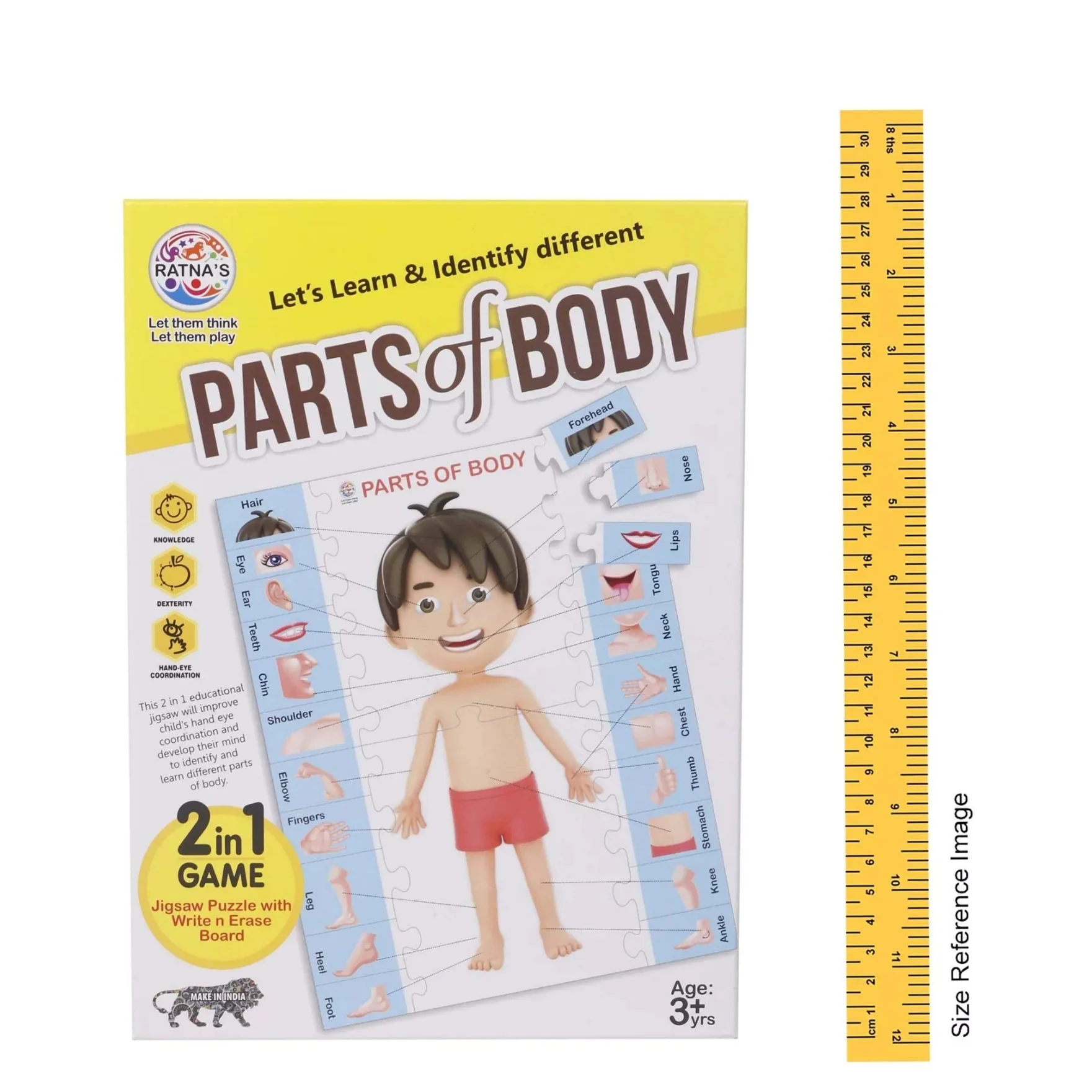 Ratna's Parts of Body Jigsaw Puzzle for Kids with 2 in 1 Write and Wipe Board with Body Parts - Image 5