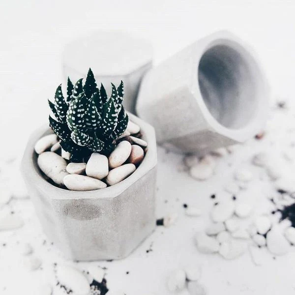 Silicone Mould Hexagon Planter & Candle - Image 7