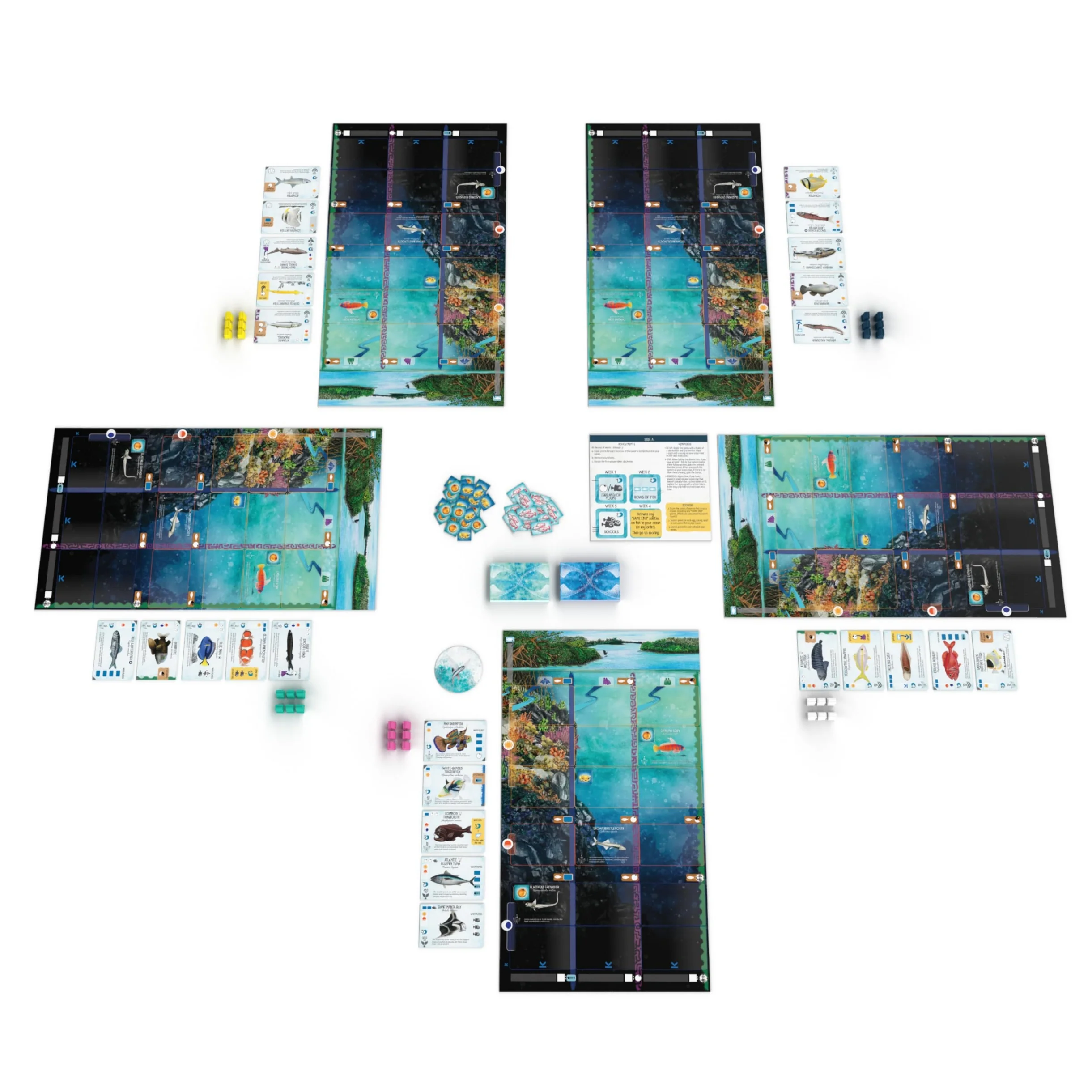Stonemaier Games Finspan Strategy Board Game About Collecting Fish - Image 2