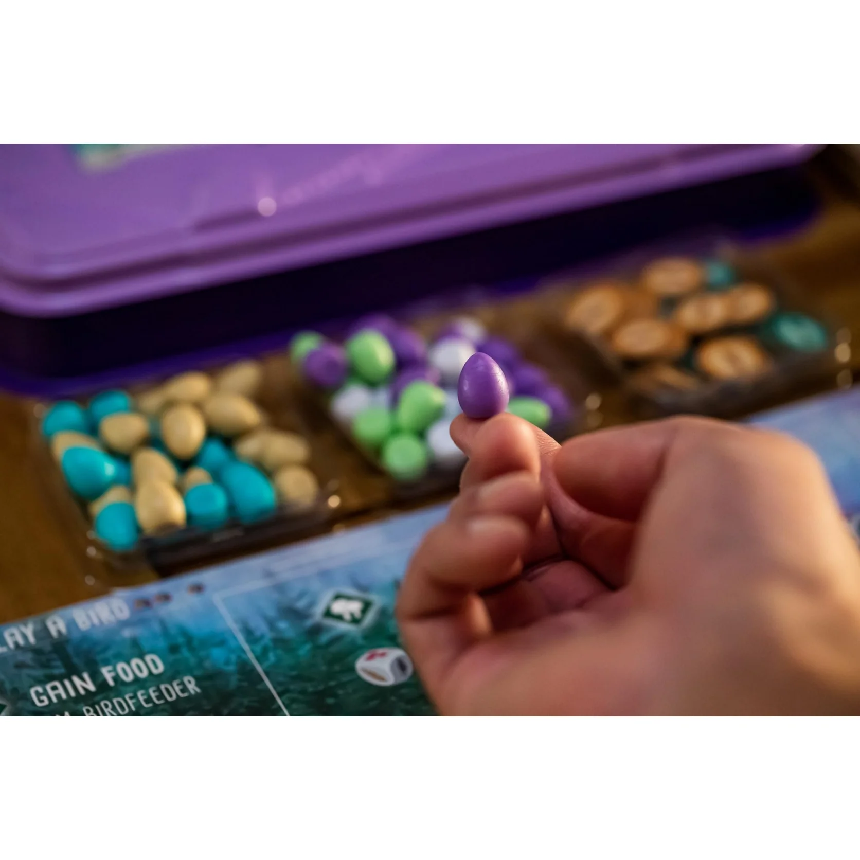 Stonemaier Games Wingspan European Expansion - Image 3