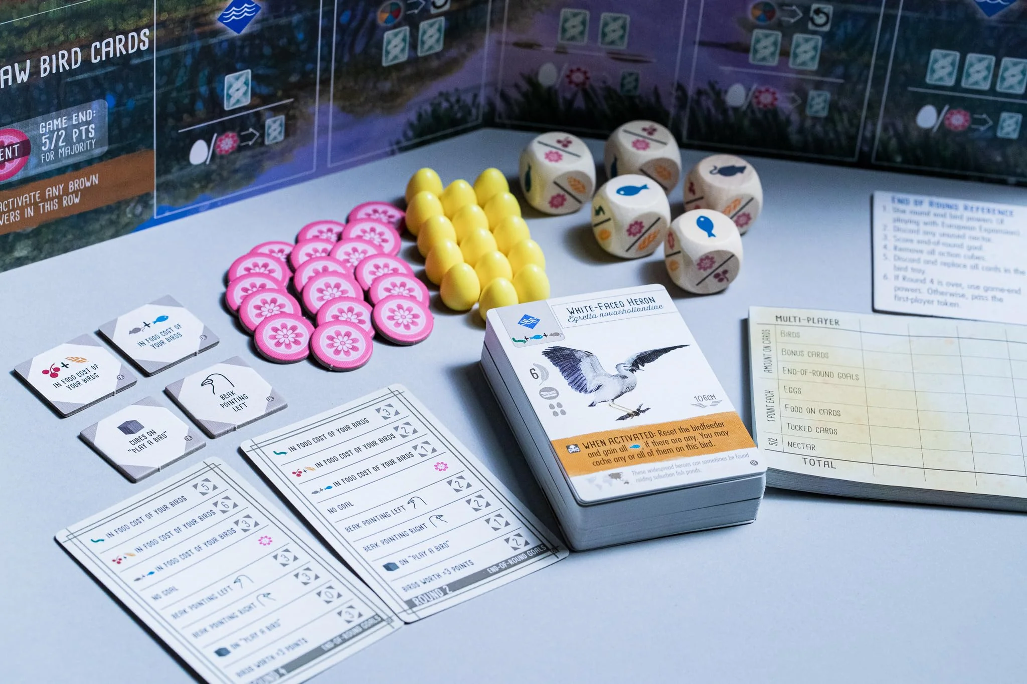 Stonemaier Games Wingspan Oceania Expansion Board Game - Image 5