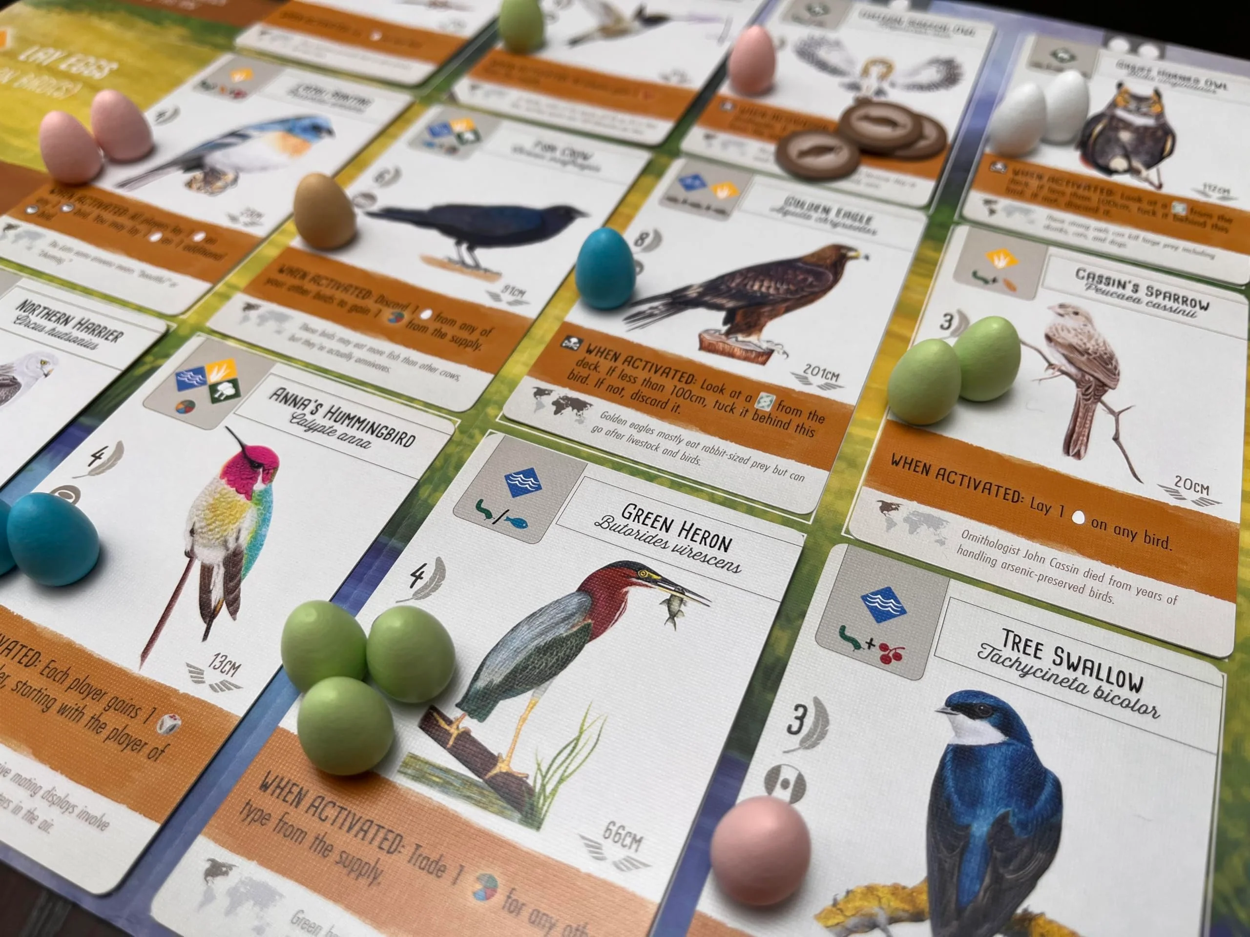 Stonemaier Games Wingspan Wuth Swift Starter Pack Board Game - Image 6